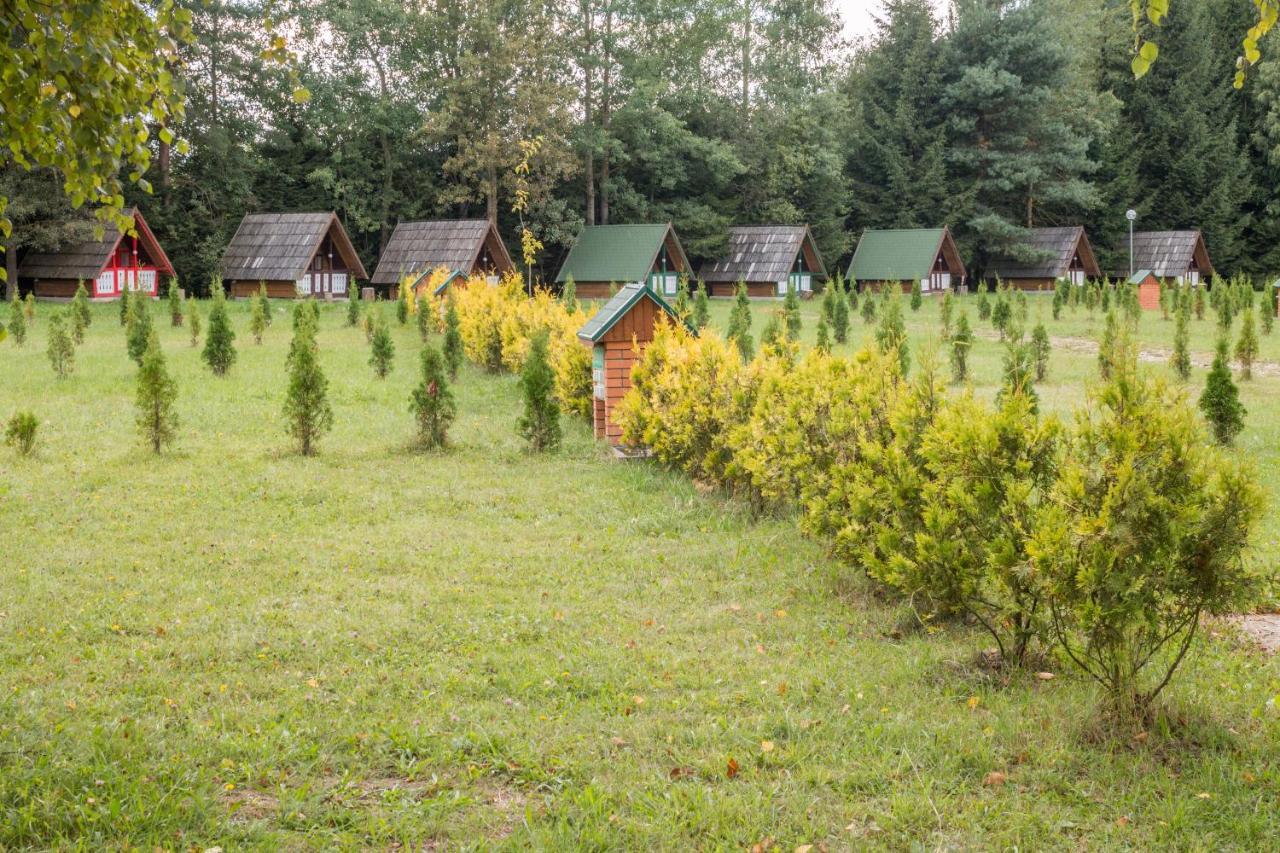 Pensiune și Camping Patru - Gheorgheni Gheorgheni  Exterior foto