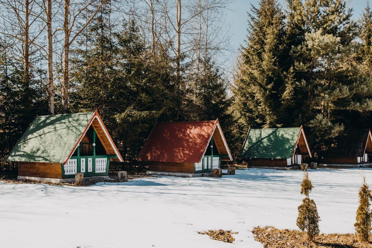 Pensiune și Camping Patru - Gheorgheni Gheorgheni  Exterior foto