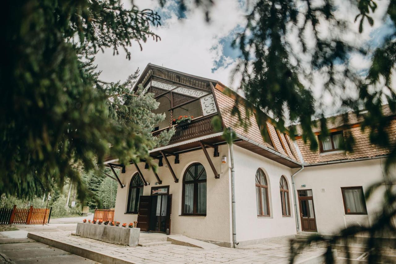 Pensiune și Camping Patru - Gheorgheni Gheorgheni  Exterior foto